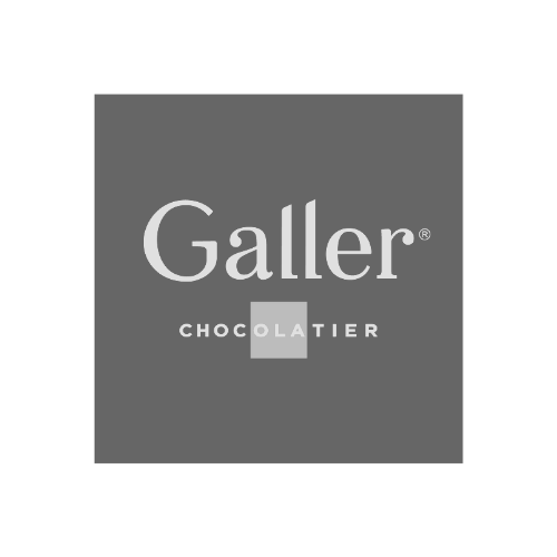 Logo Galler gris