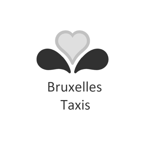 Logo Bruxelles Taxis gris et noir